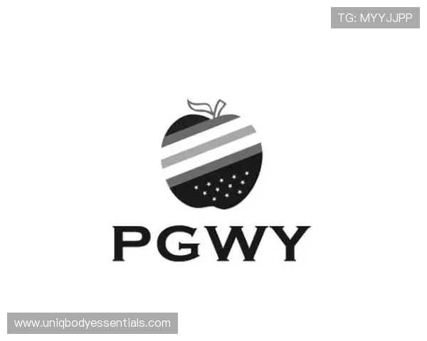 PG网站集团网址大全的安全性与稳定性保障用户信息安全和平台持续运营